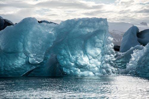 Environmental change and disease spread