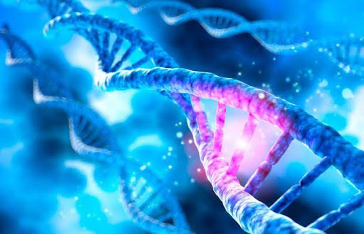 Pathogen evolution and mutations