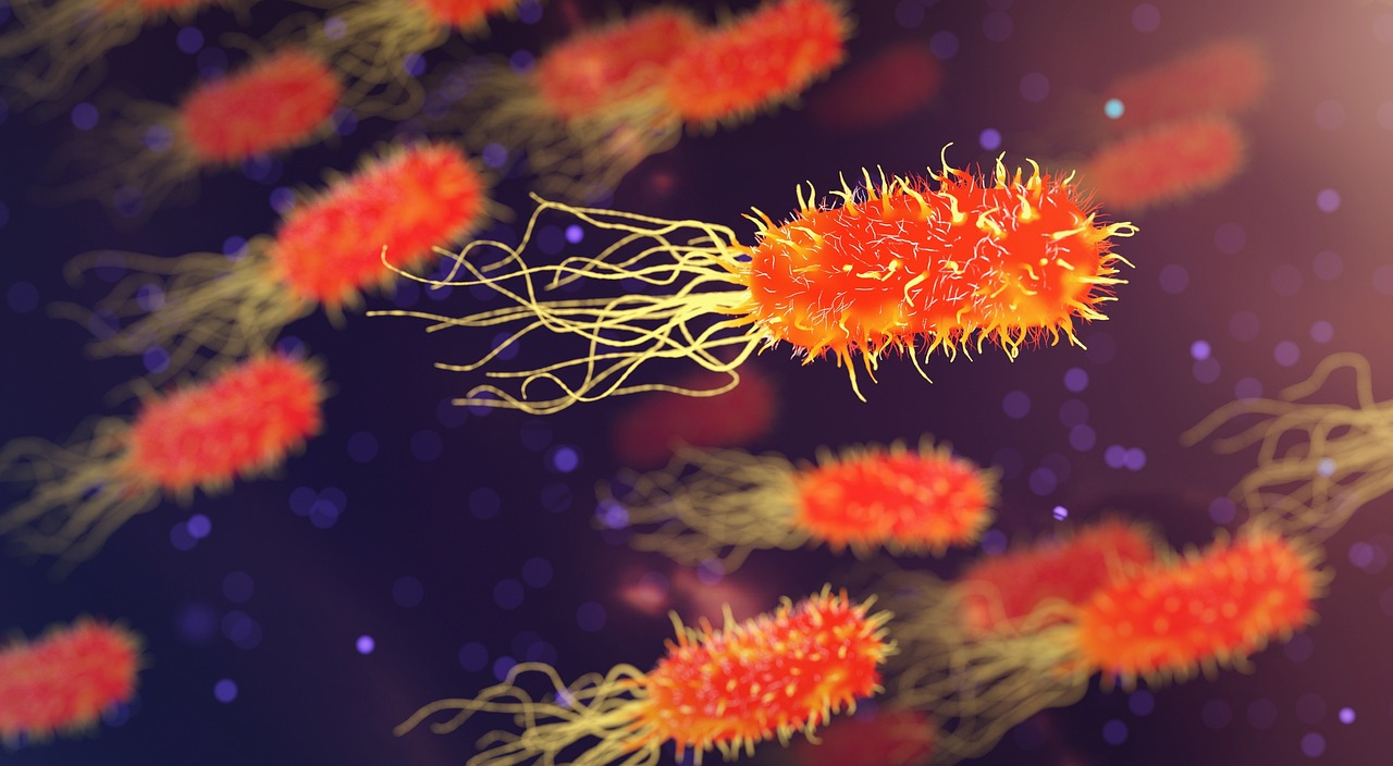 Infection control training for social workers
